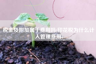 税金及附加属于费用吗(印花税为什么计入管理费用)