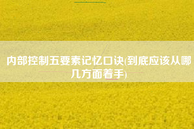 内部控制五要素记忆口诀(到底应该从哪几方面着手)