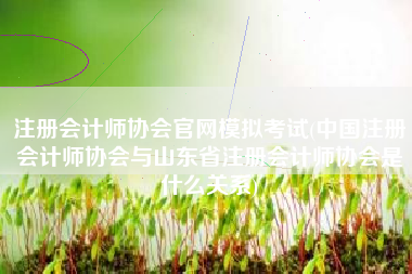 详细阅读:注册会计师协会官网模拟考试(中国注册会计师协会与山东省注册会计师协会是什么关系) 注册会计师协会官网模拟考试(中国注册会计师协会与山东省注册会计师协会是什么关系)