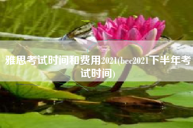 详细阅读:雅思考试时间和费用2021(bec2021下半年考试时间) 雅思考试时间和费用2021(bec2021下半年考试时间)