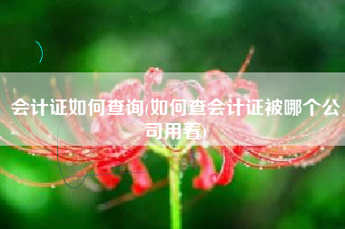 详细阅读:会计证如何查询(如何查会计证被哪个公司用着) 会计证如何查询(如何查会计证被哪个公司用着)