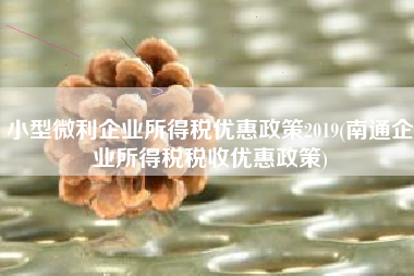 详细阅读:小型微利企业所得税优惠政策2019(南通企业所得税税收优惠政策) 小型微利企业所得税优惠政策2019(南通企业所得税税收优惠政策)