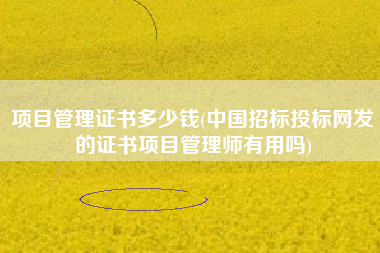 详细阅读:项目管理证书多少钱(中国招标投标网发的证书项目管理师有用吗) 项目管理证书多少钱(中国招标投标网发的证书项目管理师有用吗)