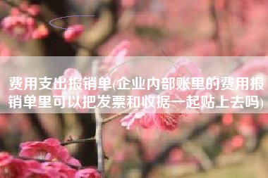 费用支出报销单(企业内部账里的费用报销单里可以把发票和收据一起贴上去吗)