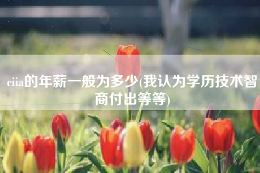 详细阅读:ciia的年薪一般为多少(我认为学历技术智商付出等等) ciia的年薪一般为多少(我认为学历技术智商付出等等)