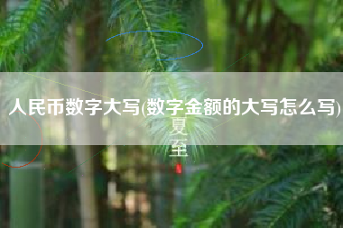 详细阅读:人民币数字大写(数字金额的大写怎么写) 人民币数字大写(数字金额的大写怎么写)