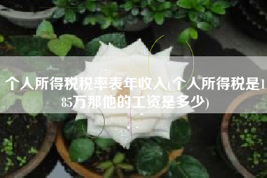 详细阅读:个人所得税税率表年收入(个人所得税是185万那他的工资是多少) 个人所得税税率表年收入(个人所得税是185万那他的工资是多少)