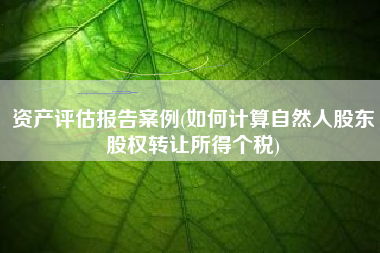 资产评估报告案例(如何计算自然人股东股权转让所得个税)