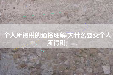 个人所得税的通俗理解(为什么要交个人所得税)