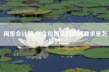 闽东会计网(央企和国企的招聘要求是怎样的)