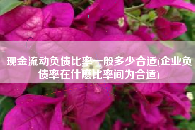 现金流动负债比率一般多少合适(企业负债率在什麽比率间为合适)