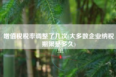 增值税税率调整了几次(大多数企业纳税期限是多久)