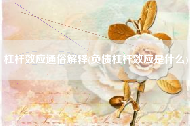 杠杆效应通俗解释(负债杠杆效应是什么)