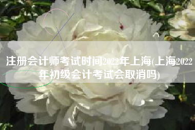 注册会计师考试时间2022年上海(上海2022年初级会计考试会取消吗)
