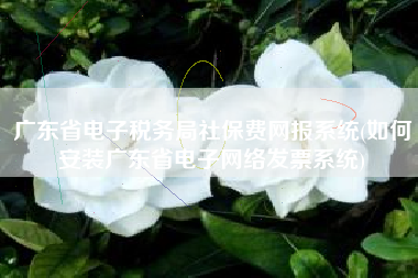 广东省电子税务局社保费网报系统(如何安装广东省电子网络发票系统)