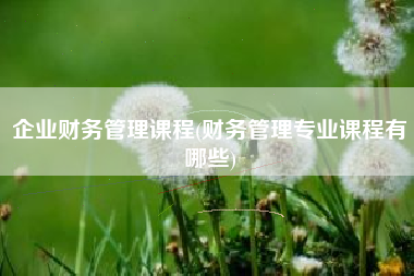 企业财务管理课程(财务管理专业课程有哪些)