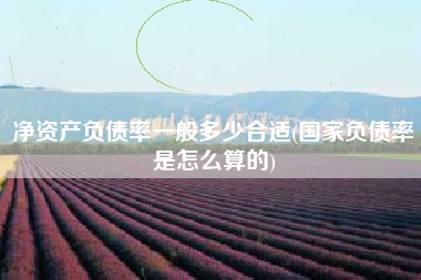 详细阅读:净资产负债率一般多少合适(国家负债率是怎么算的) 净资产负债率一般多少合适(国家负债率是怎么算的)