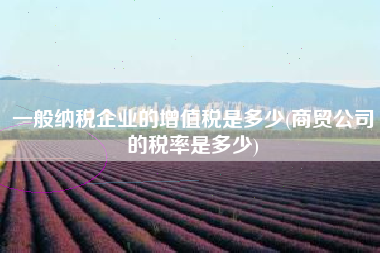 详细阅读:一般纳税企业的增值税是多少(商贸公司的税率是多少) 一般纳税企业的增值税是多少(商贸公司的税率是多少)
