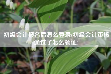 初级会计报名后怎么登录(初级会计审核通过了怎么领证)