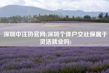 深圳中注协官网(深圳个体户交社保属于灵活就业吗)
