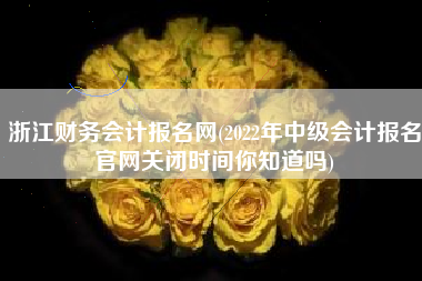 浙江财务会计报名网(2022年中级会计报名官网关闭时间你知道吗)