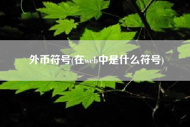 外币符号(在web中是什么符号)