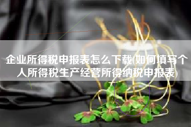 企业所得税申报表怎么下载(如何填写个人所得税生产经营所得纳税申报表)