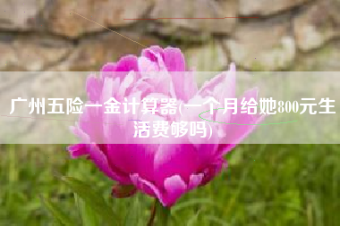广州五险一金计算器(一个月给她800元生活费够吗)