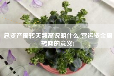总资产周转天数高说明什么(营运资金周转期的意义)