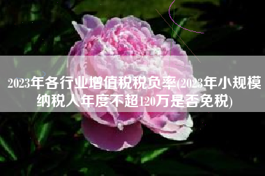 2023年各行业增值税税负率(2023年小规模纳税人年度不超120万是否免税)