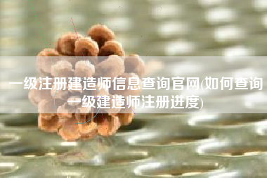 一级注册建造师信息查询官网(如何查询一级建造师注册进度)