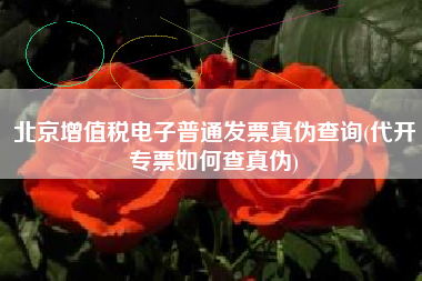 北京增值税电子普通发票真伪查询(代开专票如何查真伪)