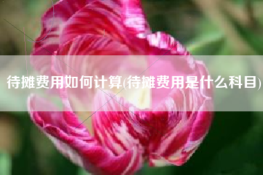 待摊费用如何计算(待摊费用是什么科目)