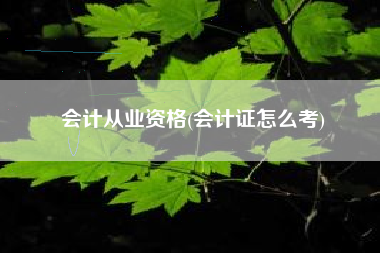 会计从业资格(会计证怎么考)