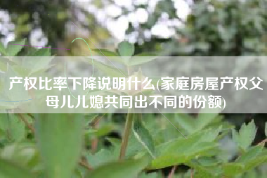 产权比率下降说明什么(家庭房屋产权父母儿儿媳共同出不同的份额)
