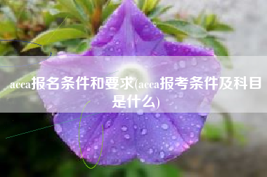 acca报名条件和要求(acca报考条件及科目是什么)