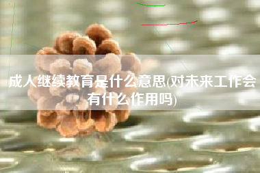 成人继续教育是什么意思(对未来工作会有什么作用吗)