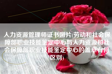人力资源管理师证书图片(劳动和社会保障部职业技能鉴定中心与人力资源和社会保障部职业技能鉴定中心的盖章有何区别)