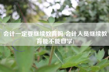 会计一定要继续教育吗(会计人员继续教育能不能自学)