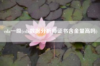 cda一级(cda数据分析师证书含金量高吗)