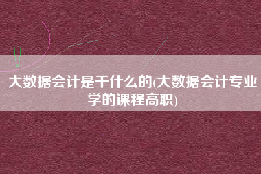 大数据会计是干什么的(大数据会计专业学的课程高职)