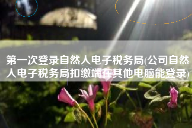 第一次登录自然人电子税务局(公司自然人电子税务局扣缴端在其他电脑能登录)
