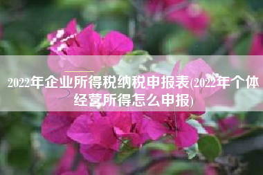2022年企业所得税纳税申报表(2022年个体经营所得怎么申报)