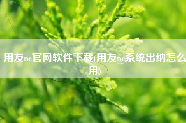 用友nc官网软件下载(用友nc系统出纳怎么用)