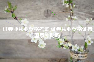 证券业从业资格考试(证券从业资格证有国家补助吗)