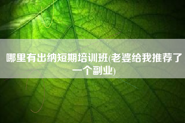 哪里有出纳短期培训班(老婆给我推荐了一个副业)