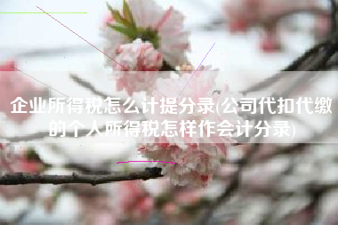 企业所得税怎么计提分录(公司代扣代缴的个人所得税怎样作会计分录)