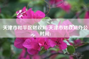 天津市和平区财政局(天津市财政局办公时间)
