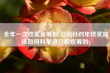 全年一次性奖金筹划(公司针对年终奖应该如何科学进行税收筹划)