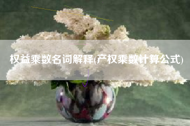 权益乘数名词解释(产权乘数计算公式)